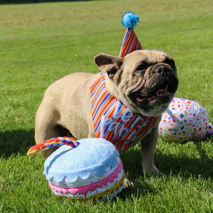 Ancol Pawty Sprinkle Cake - Plush, Squeaky Celebration Toy for Dogs