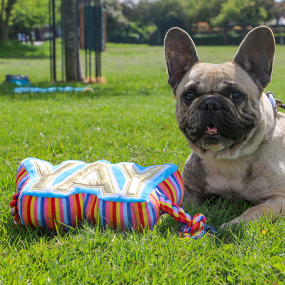 Ancol Pawty Yay Tugger - Plush